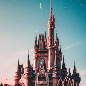 Disney World Castle