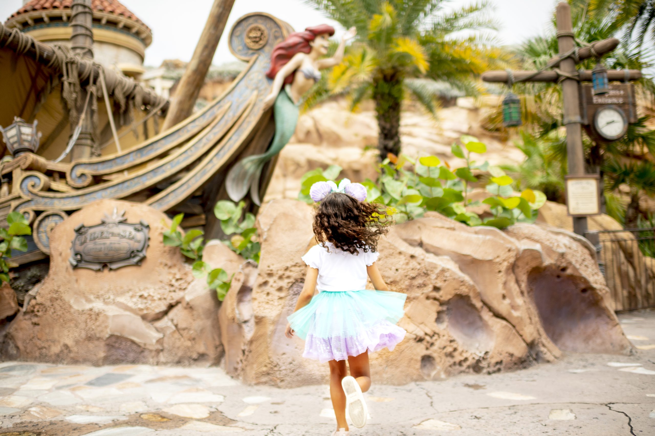 Disney World